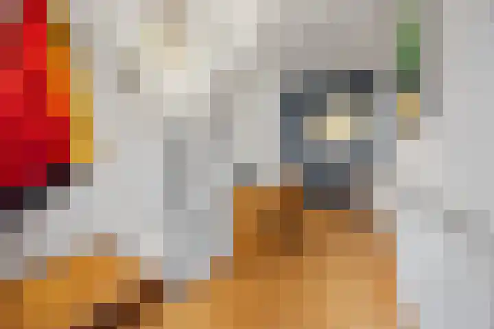 Boterdijk 4 Malden foto 3