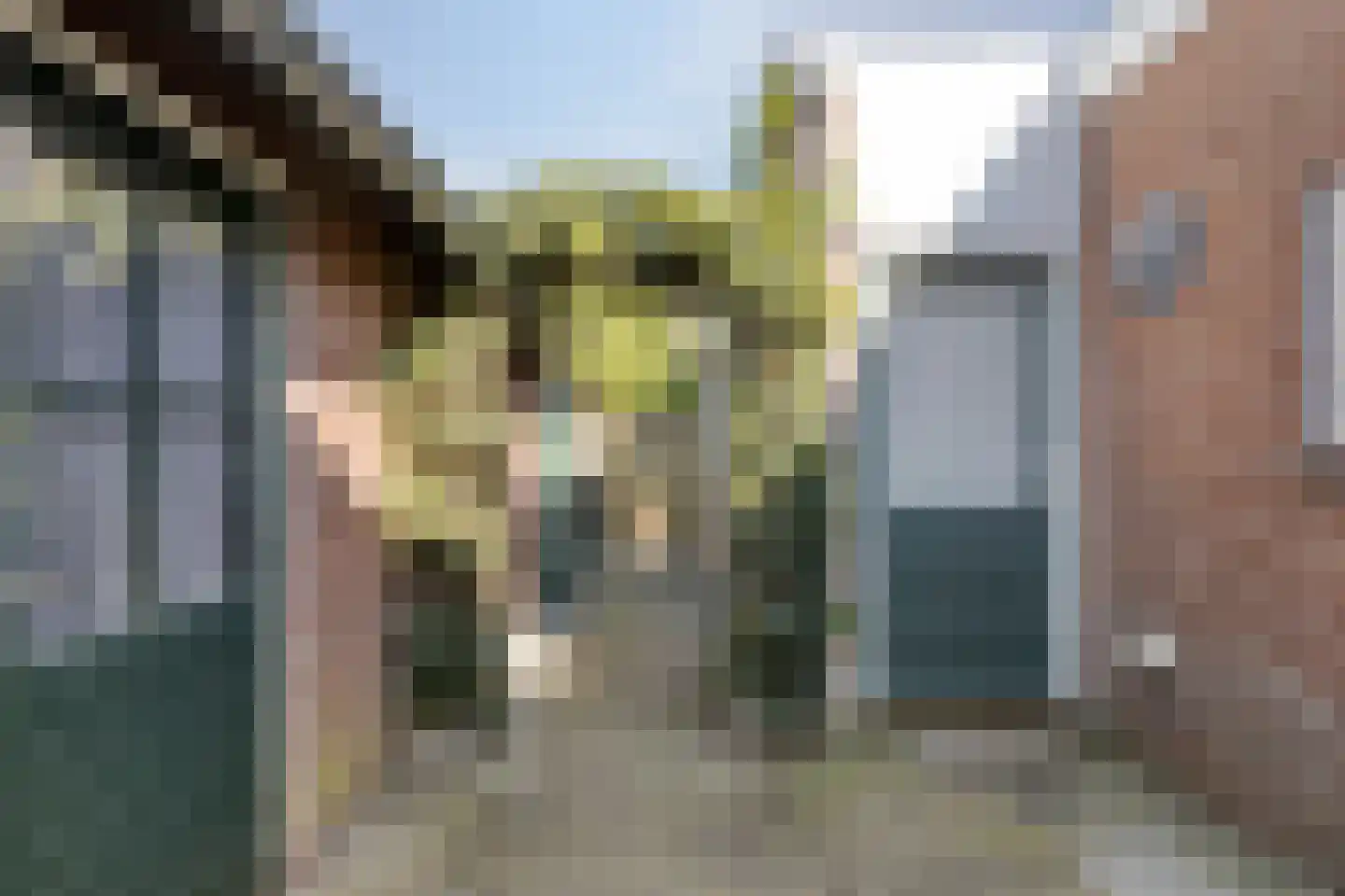 Boterdijk 55 Siebengewald thumbnail 25