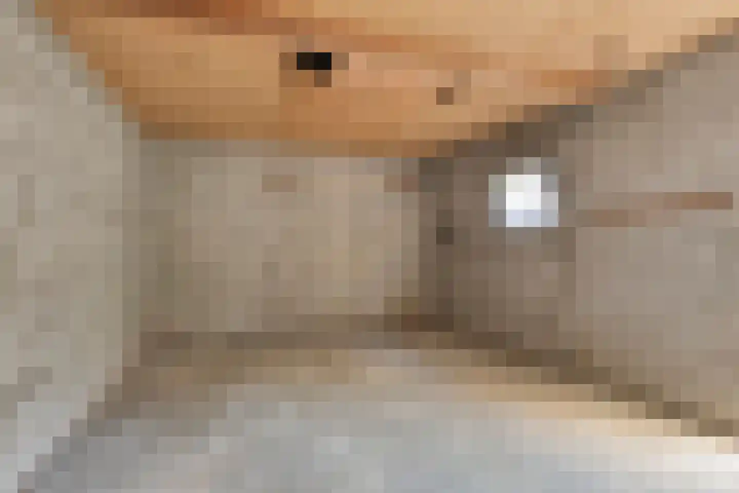 Boterdijk 55 Siebengewald thumbnail 30
