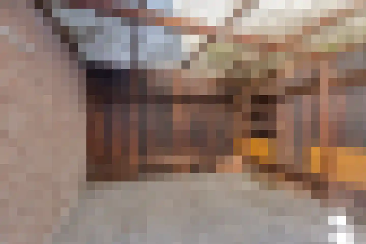 Boterdijk 55 Siebengewald thumbnail 31