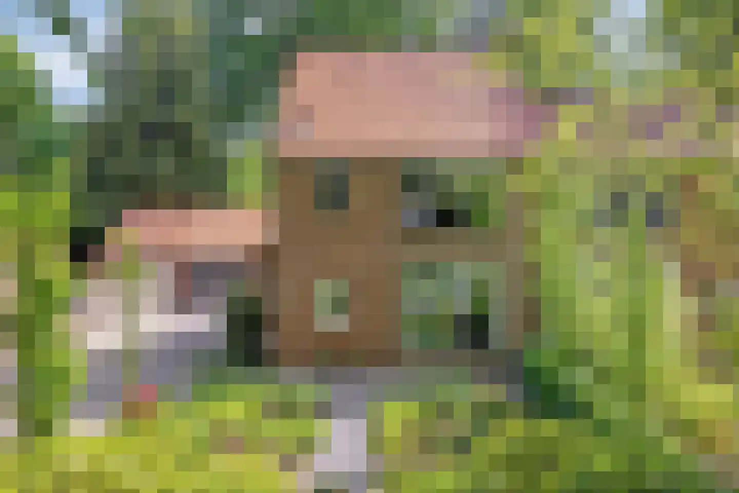 Boterdijk 6 Nunspeet