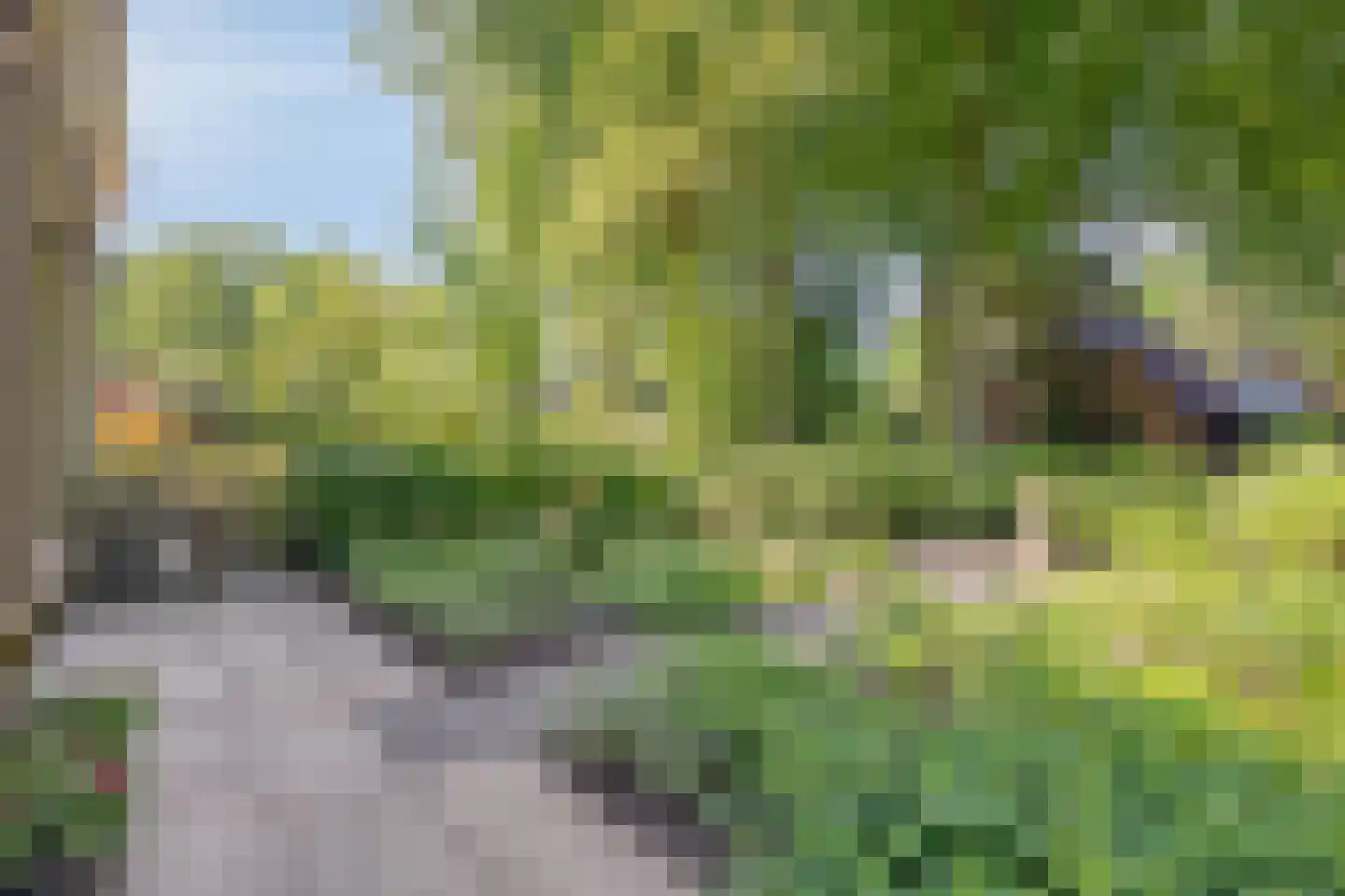 Boterdijk 6 Nunspeet thumbnail 11