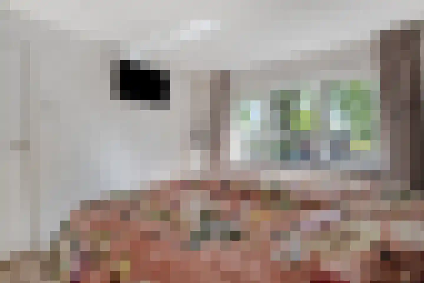 Boterdijk 6 Nunspeet thumbnail 27