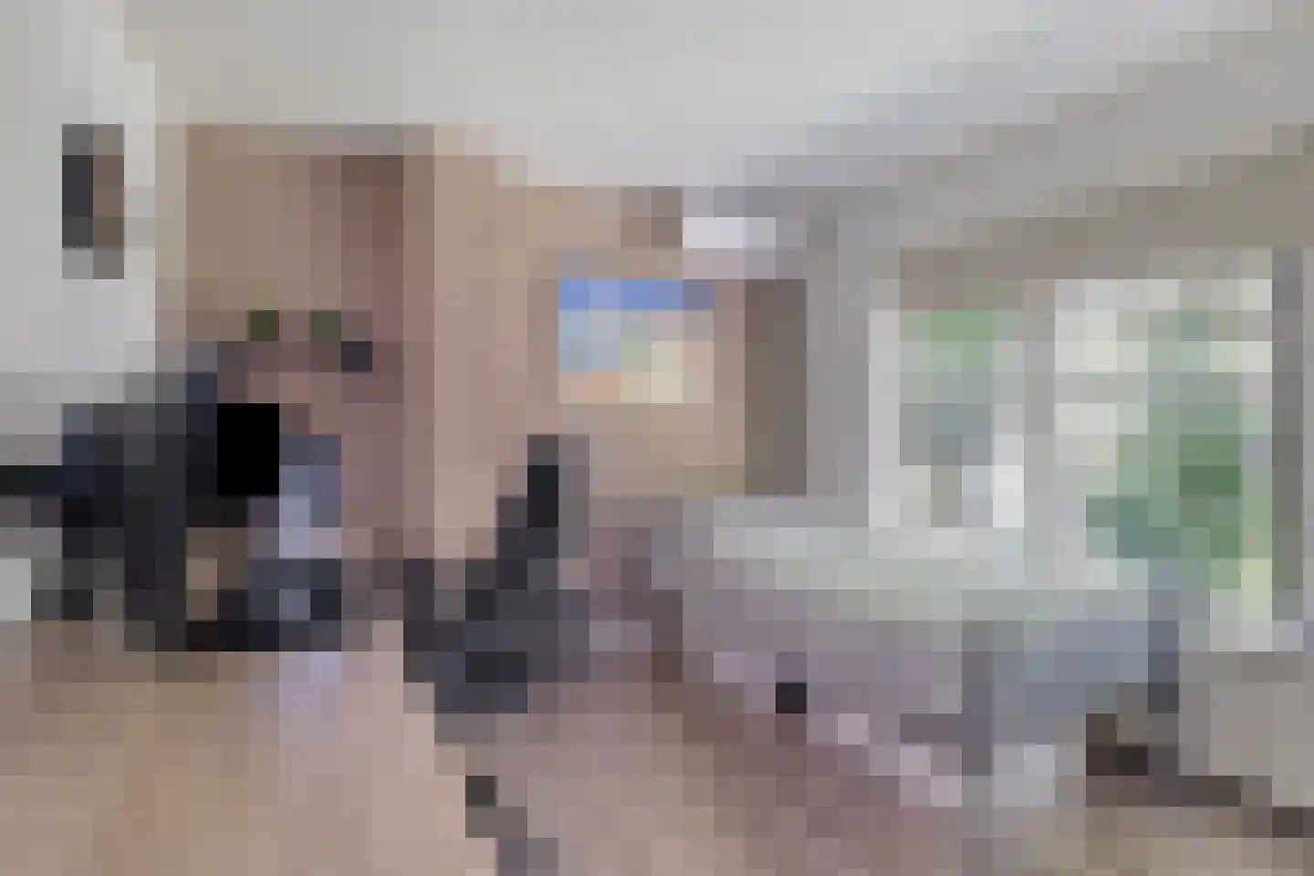 Boterdijk 6 Nunspeet thumbnail 30