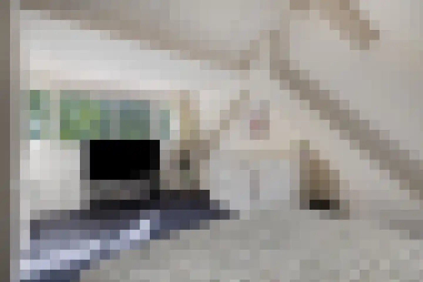 Boterdijk 6 Nunspeet thumbnail 37