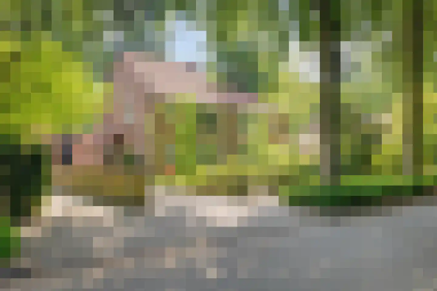 Boterdijk 6 Nunspeet thumbnail 5