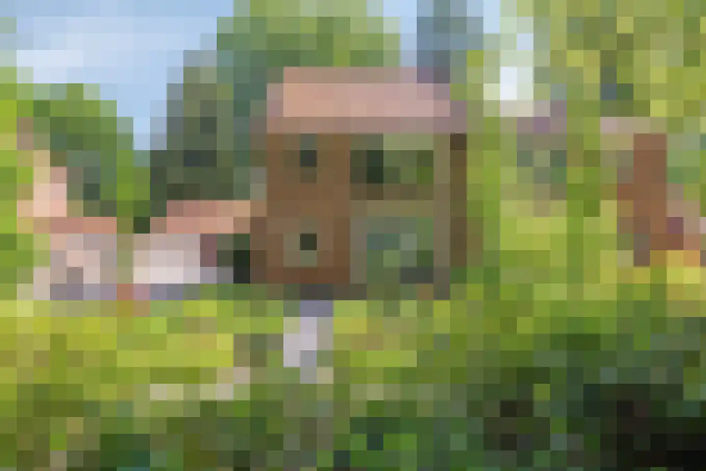 Boterdijk 6 Nunspeet thumbnail 6