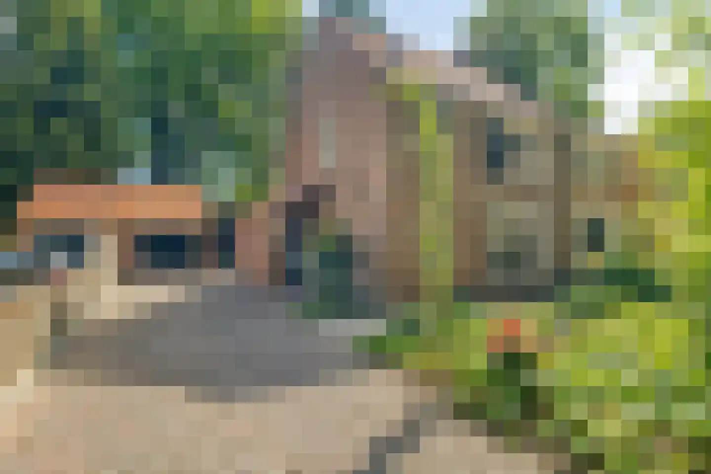 Boterdijk 6 Nunspeet thumbnail 8