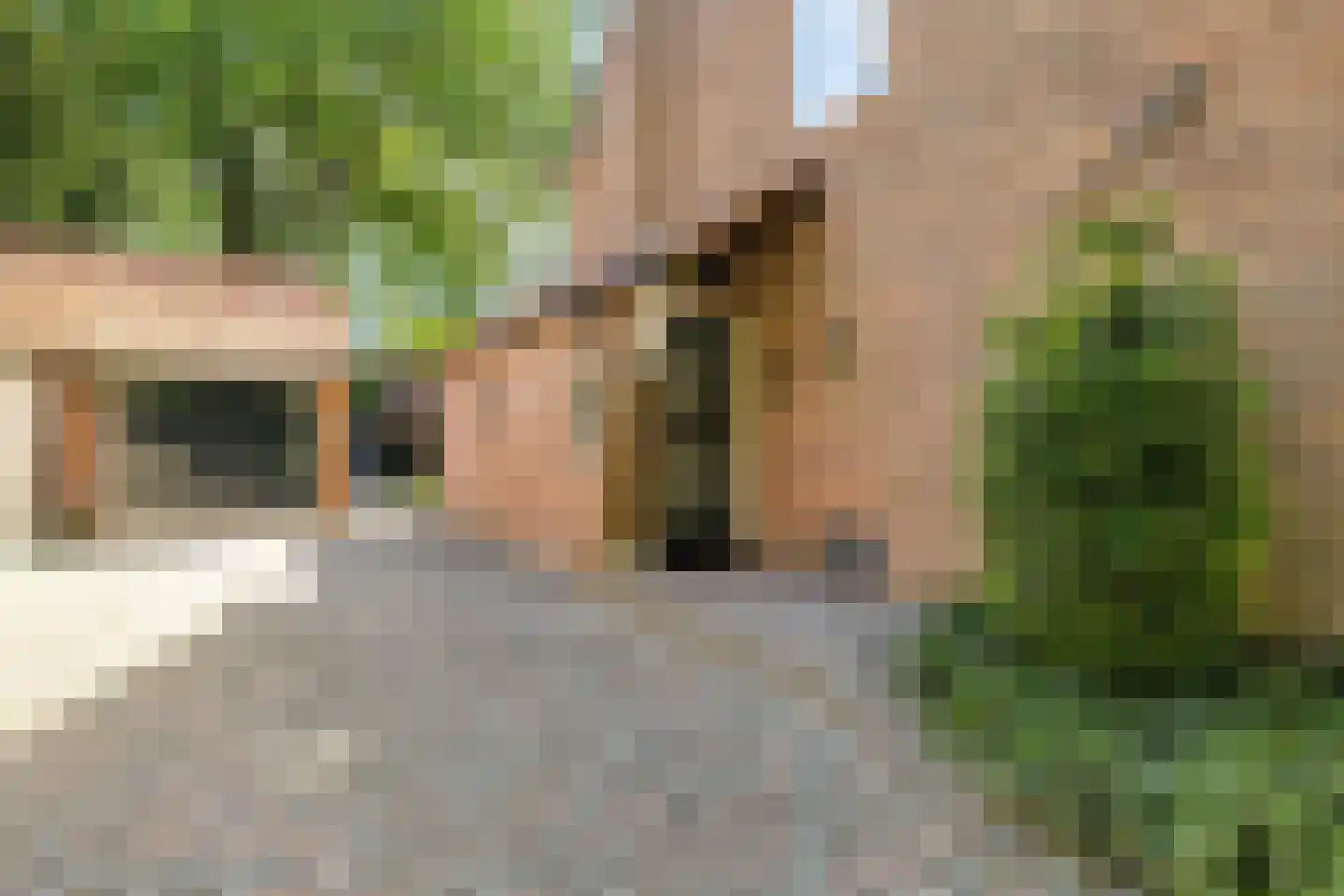 Boterdijk 6 Nunspeet thumbnail 9