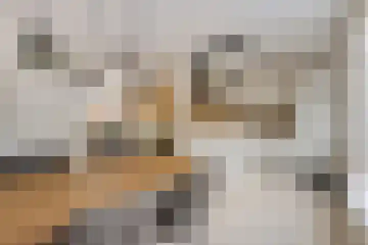 Boterfabriekweg 15 Chaam thumbnail 13