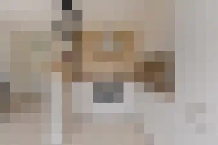 Boterfabriekweg 15 Chaam thumbnail 15