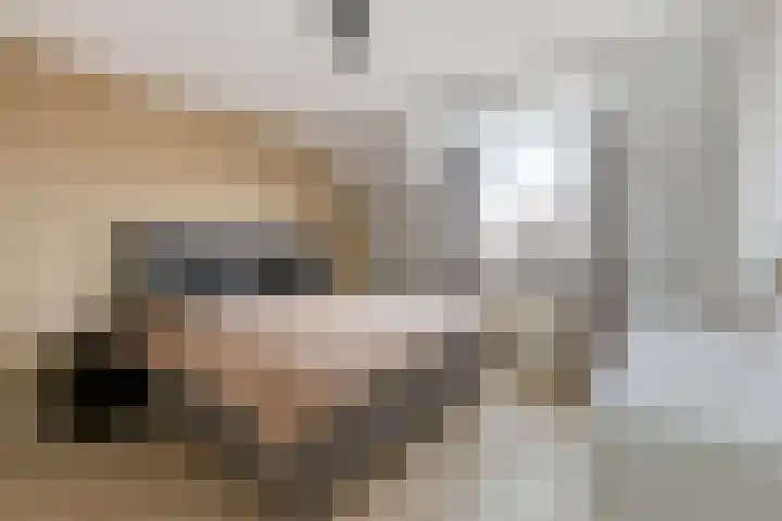 Boterfabriekweg 15 Chaam thumbnail 18