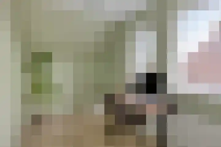 Boterfabriekweg 15 Chaam thumbnail 20