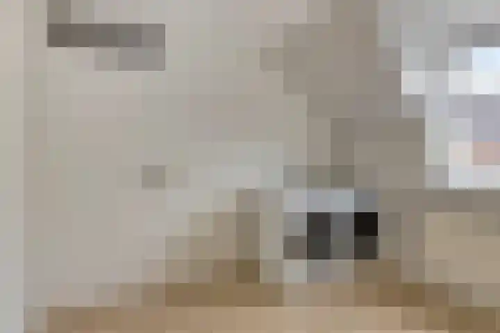 Boterfabriekweg 15 Chaam thumbnail 22