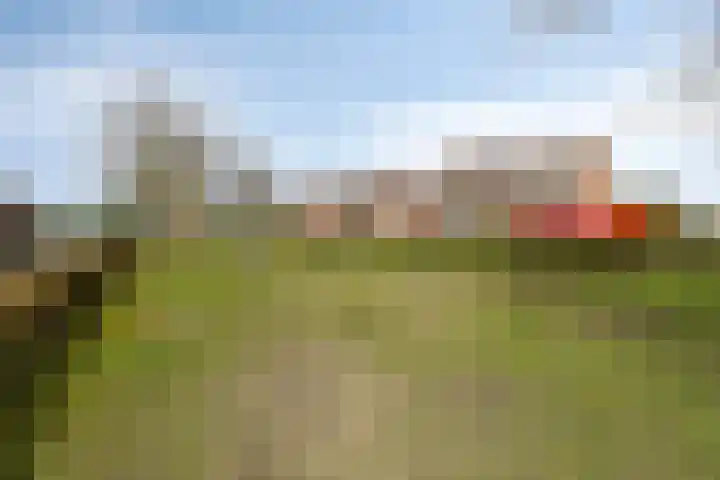 Boterfabriekweg 15 Chaam thumbnail 31