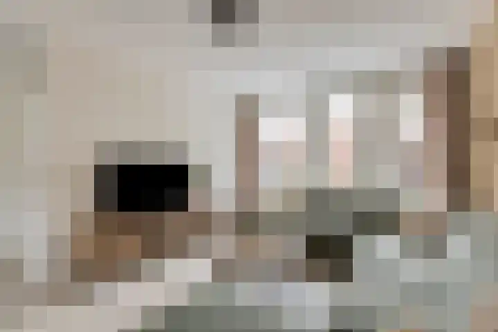 Boterfabriekweg 15 Chaam thumbnail 7