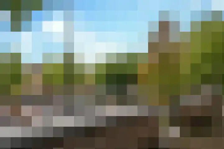 Boterhoek 129 Best thumbnail 21
