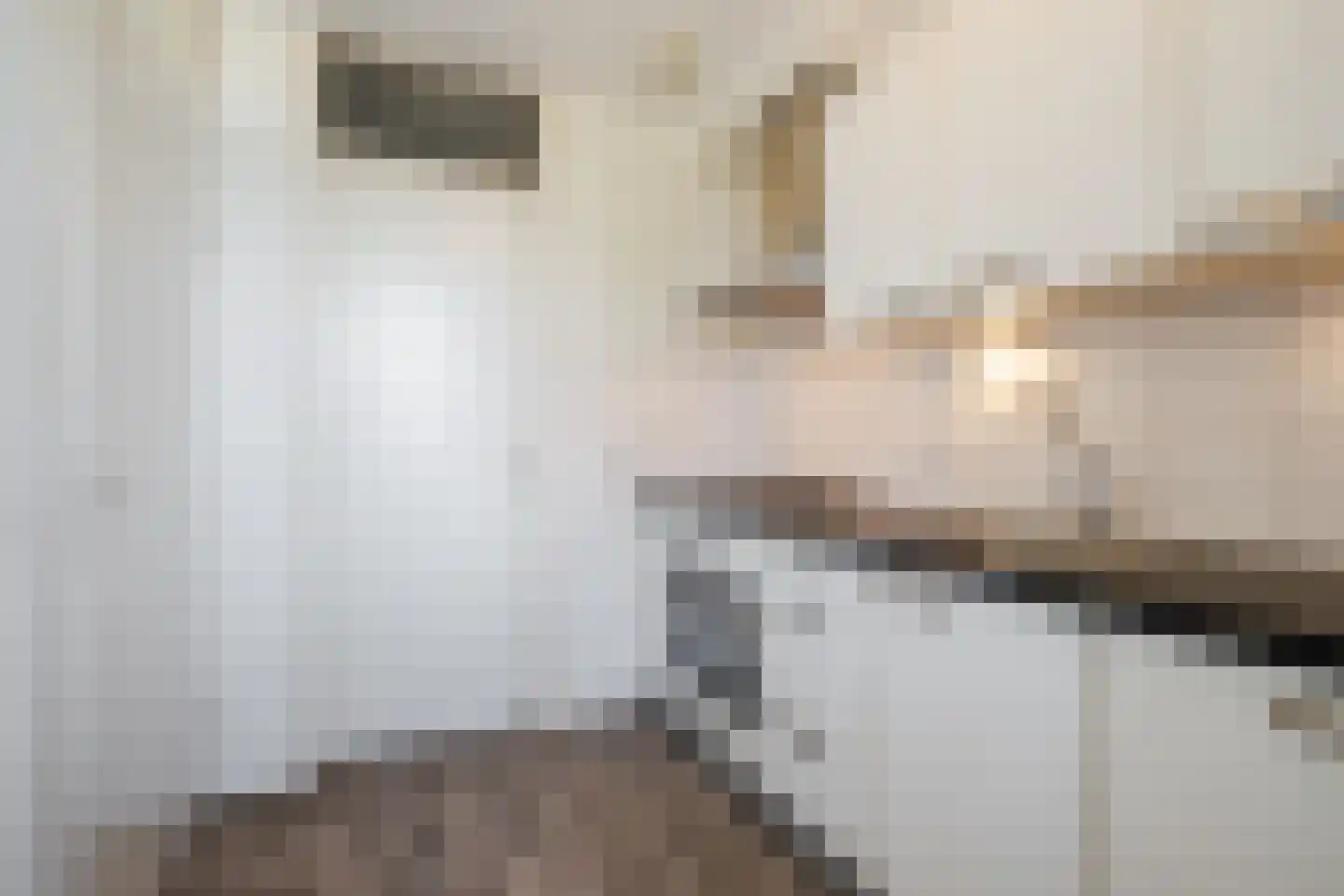 Boterhoek 205 Best thumbnail 18