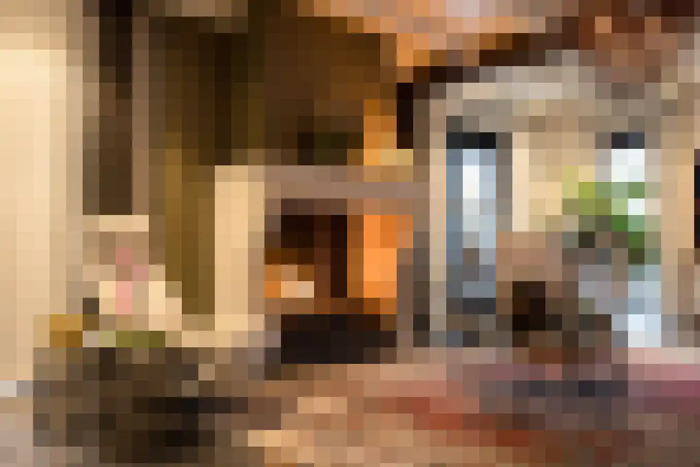 Boterhurken 12 Erp thumbnail 10