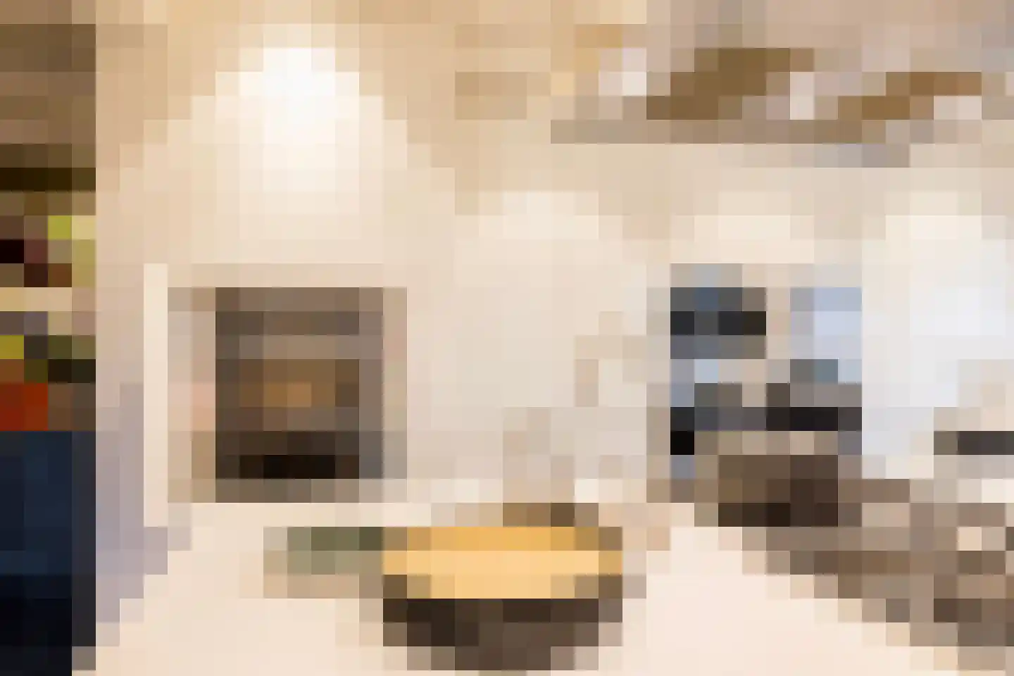 Boterhurken 12 Erp thumbnail 18