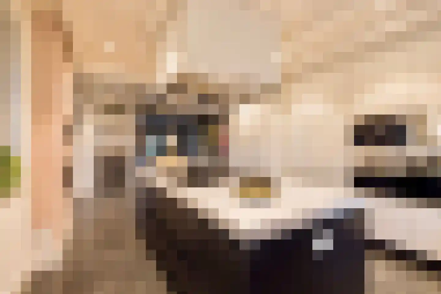Boterhurken 12 Erp thumbnail 19