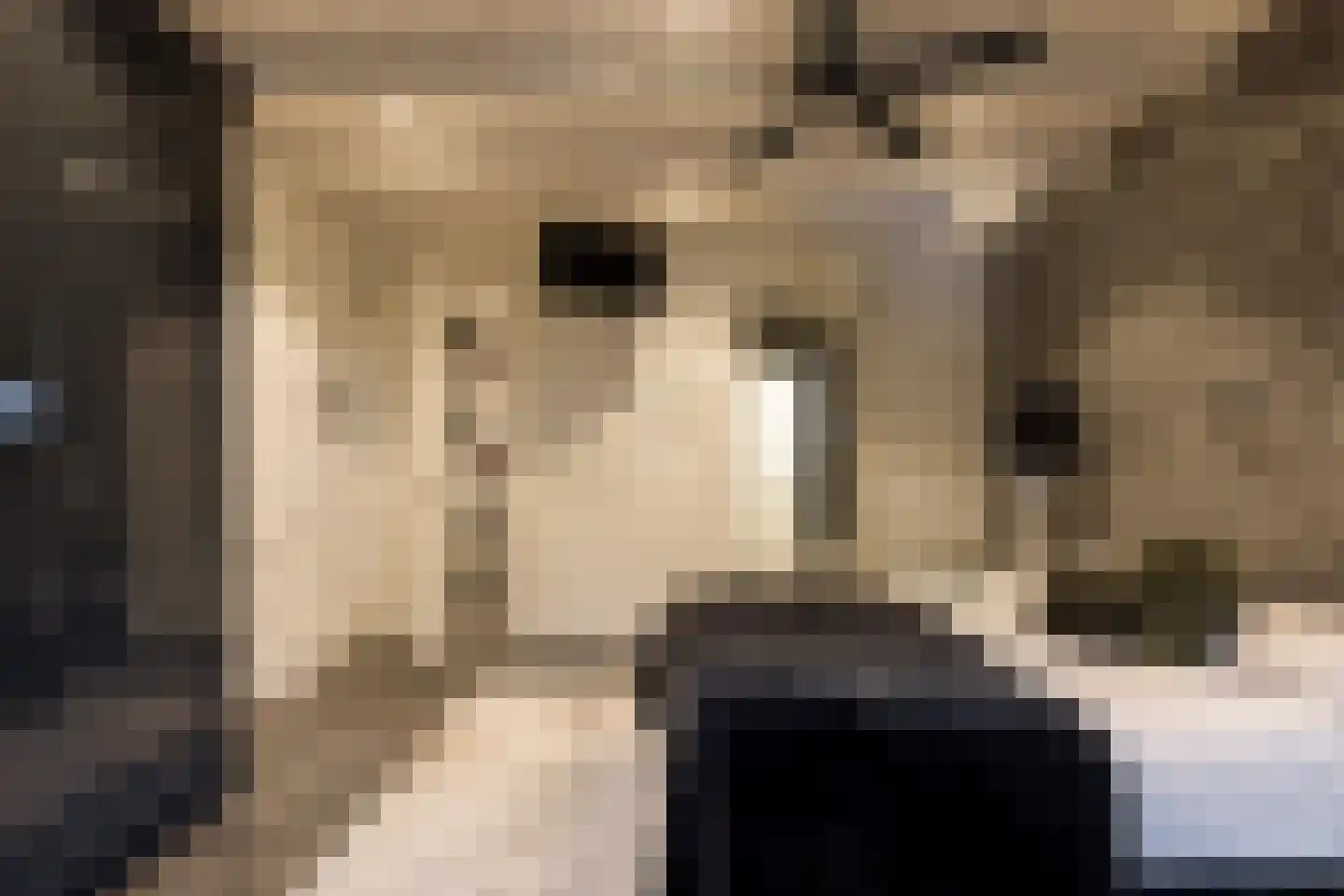 Boterhurken 12 Erp thumbnail 29