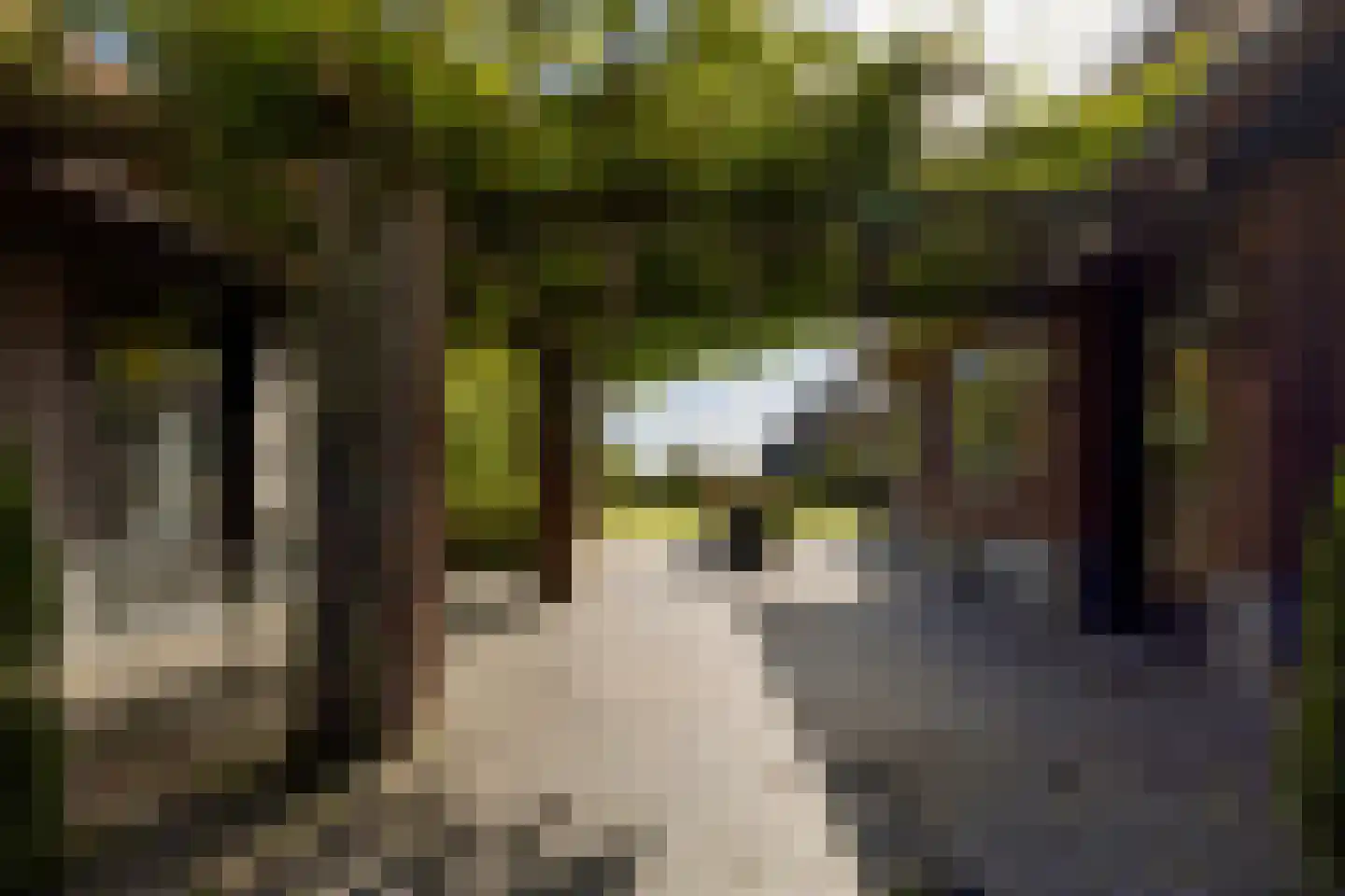 Boterhurken 12 Erp thumbnail 48