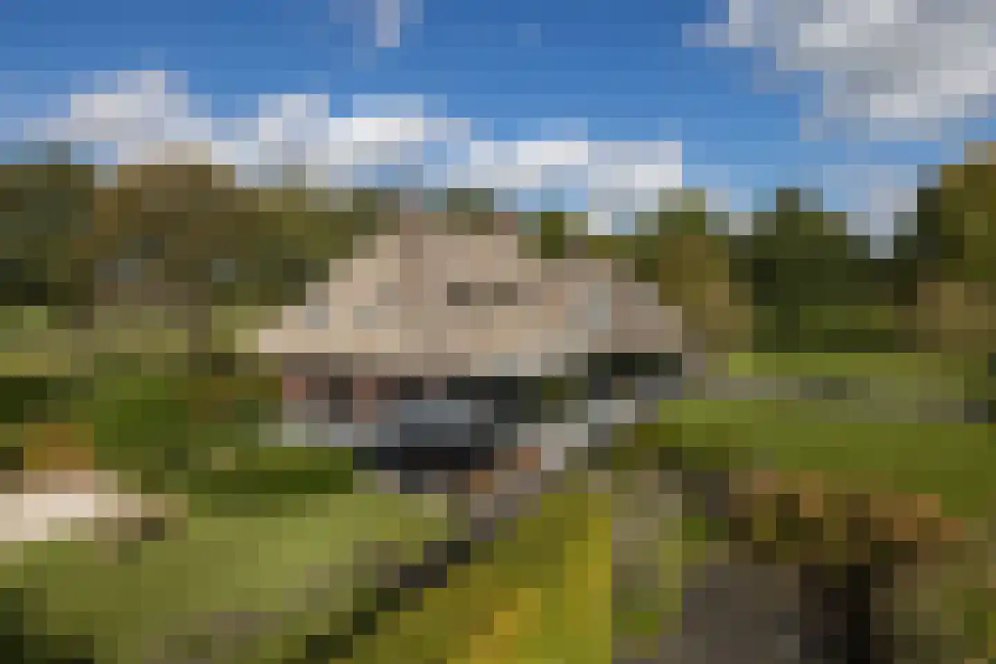 Boterhurken 12 Erp thumbnail 66