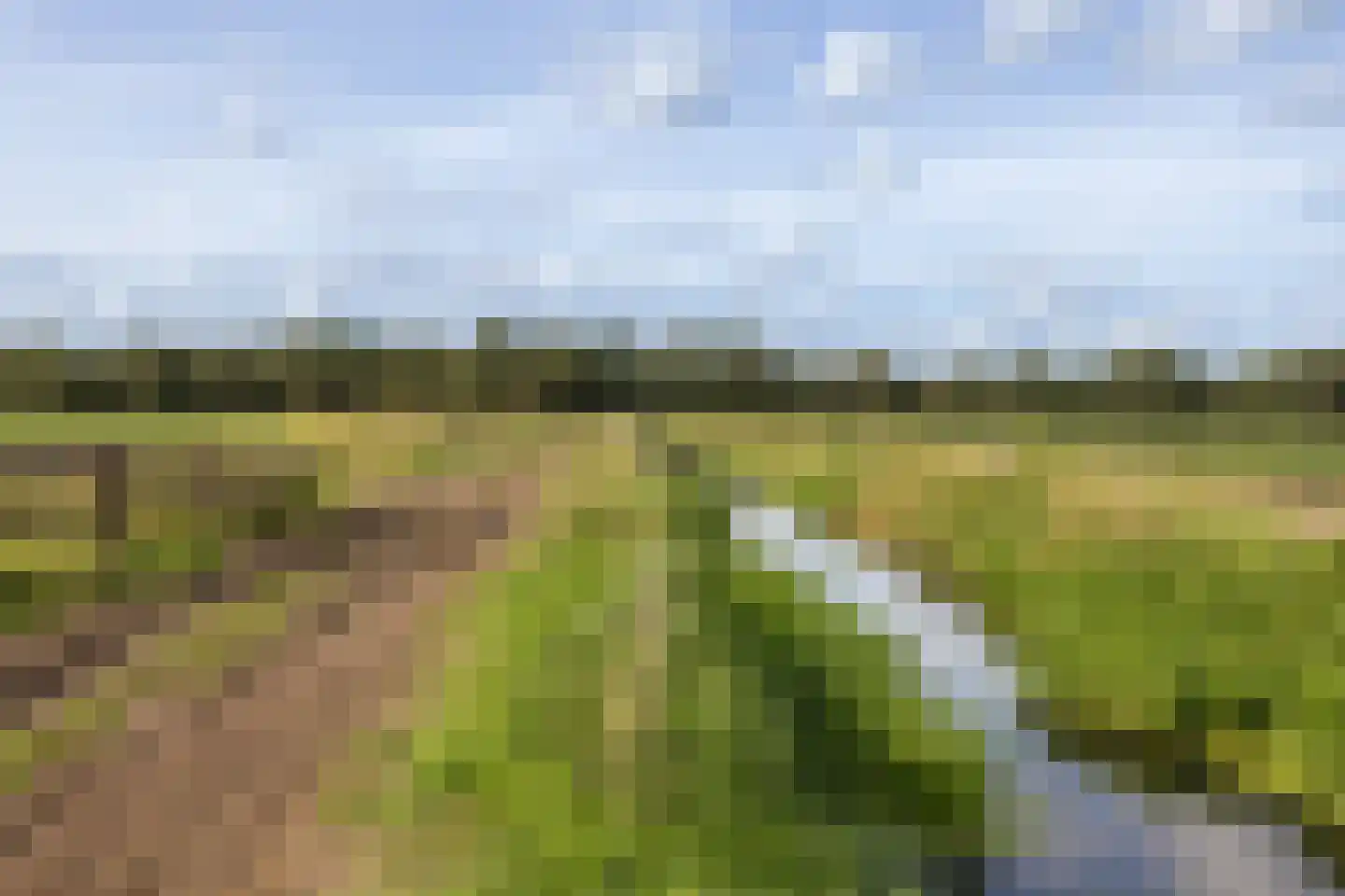 Boterhurken 12 Erp thumbnail 80