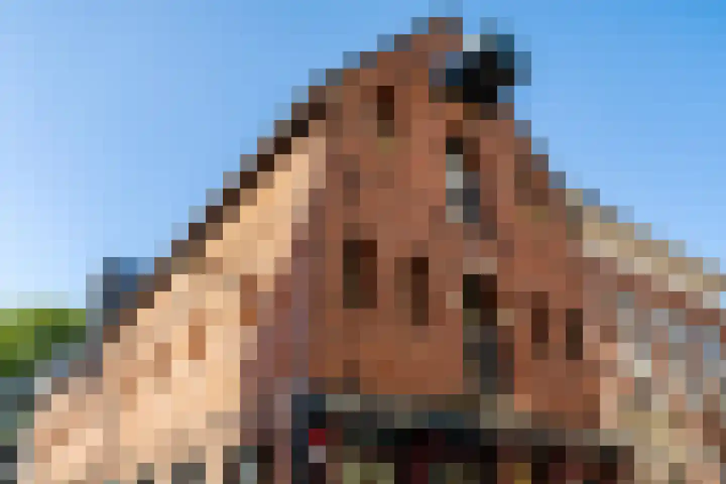 Boteringeplaats 5 Groningen thumbnail 7