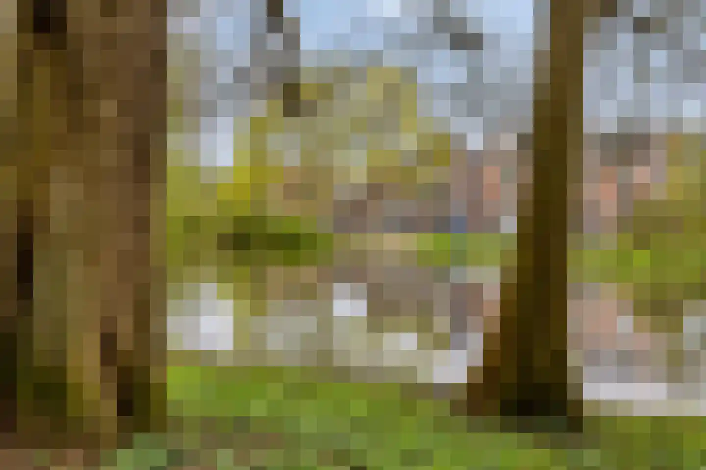Boteringesingel 1 Groningen thumbnail 26