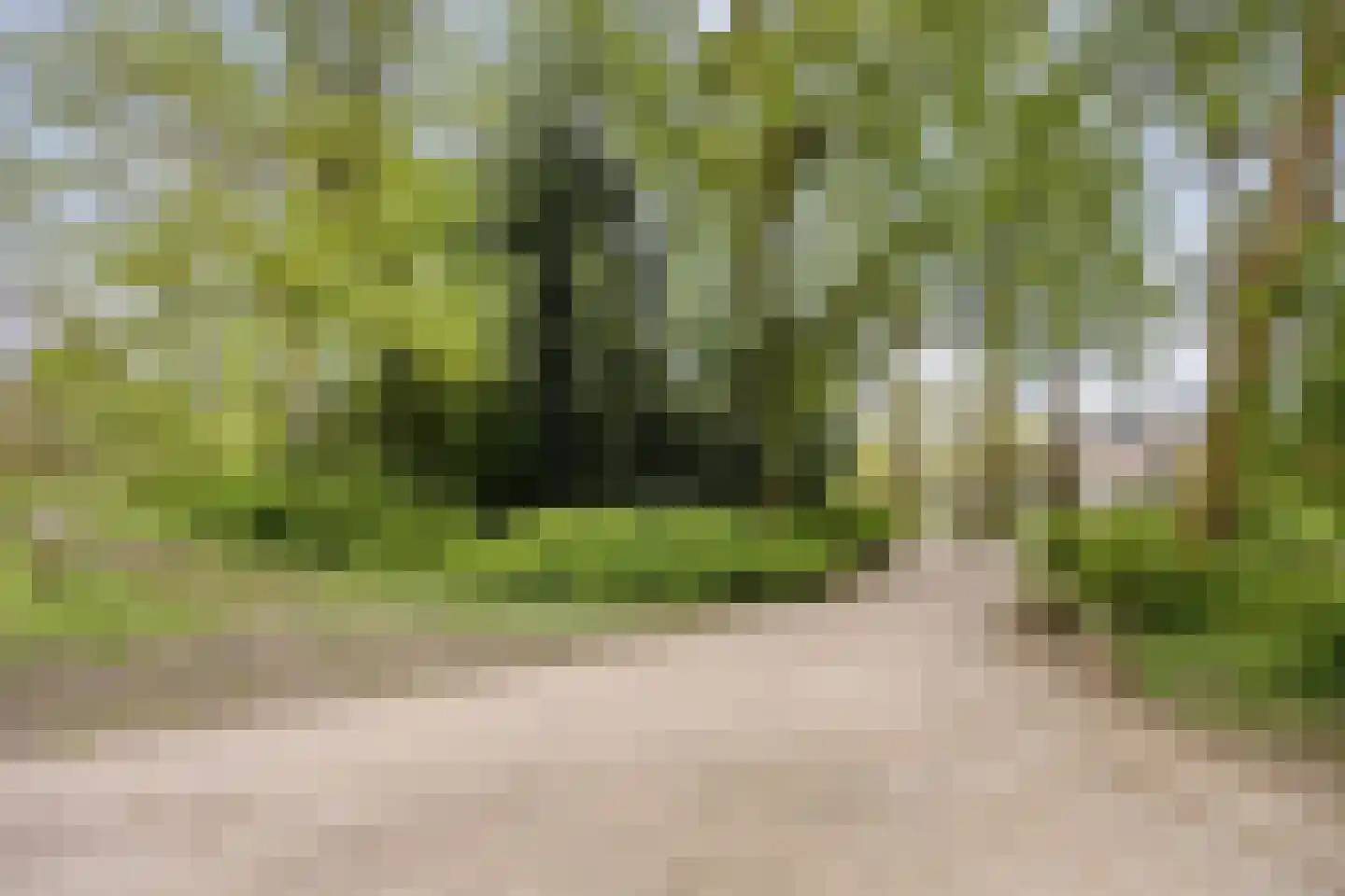 Boteringesingel 1 Groningen thumbnail 27