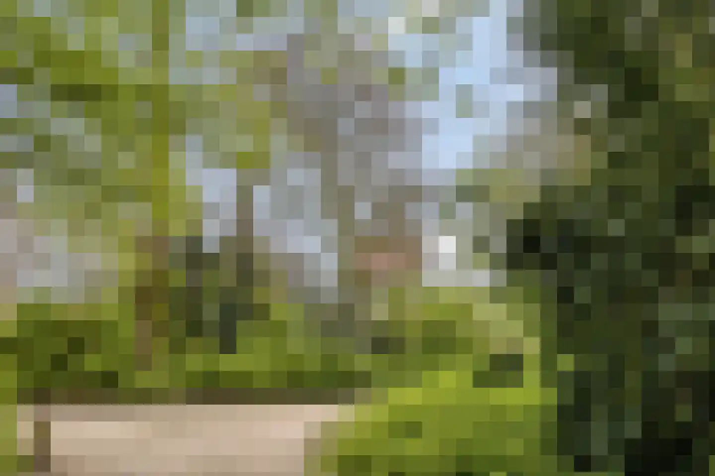 Boteringesingel 1 Groningen thumbnail 29