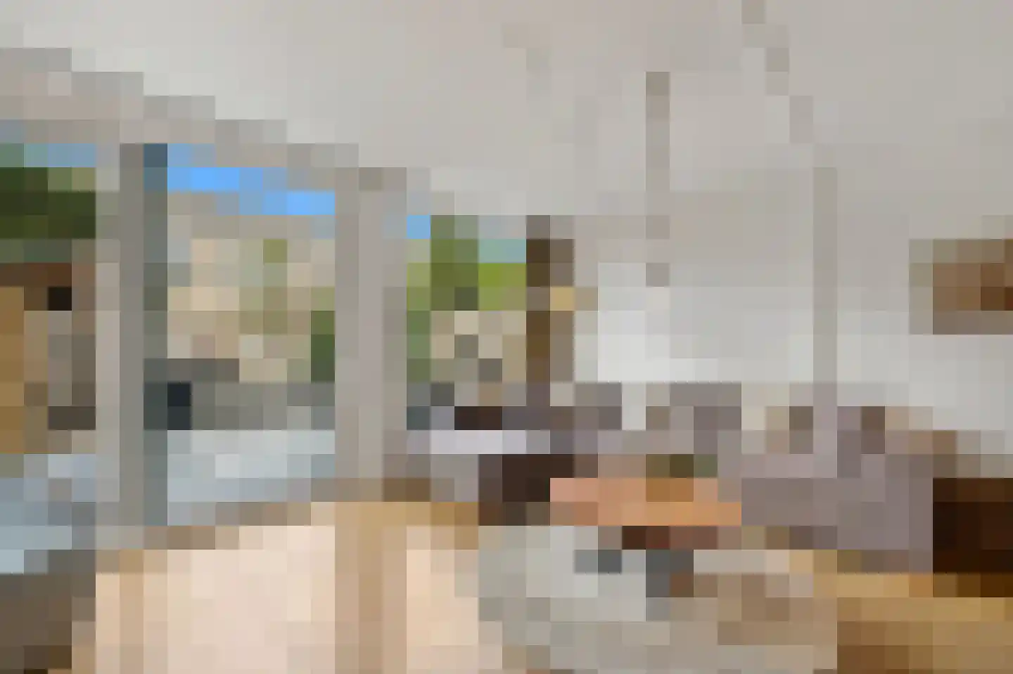 Boterkamp 14 Maasland thumbnail 12