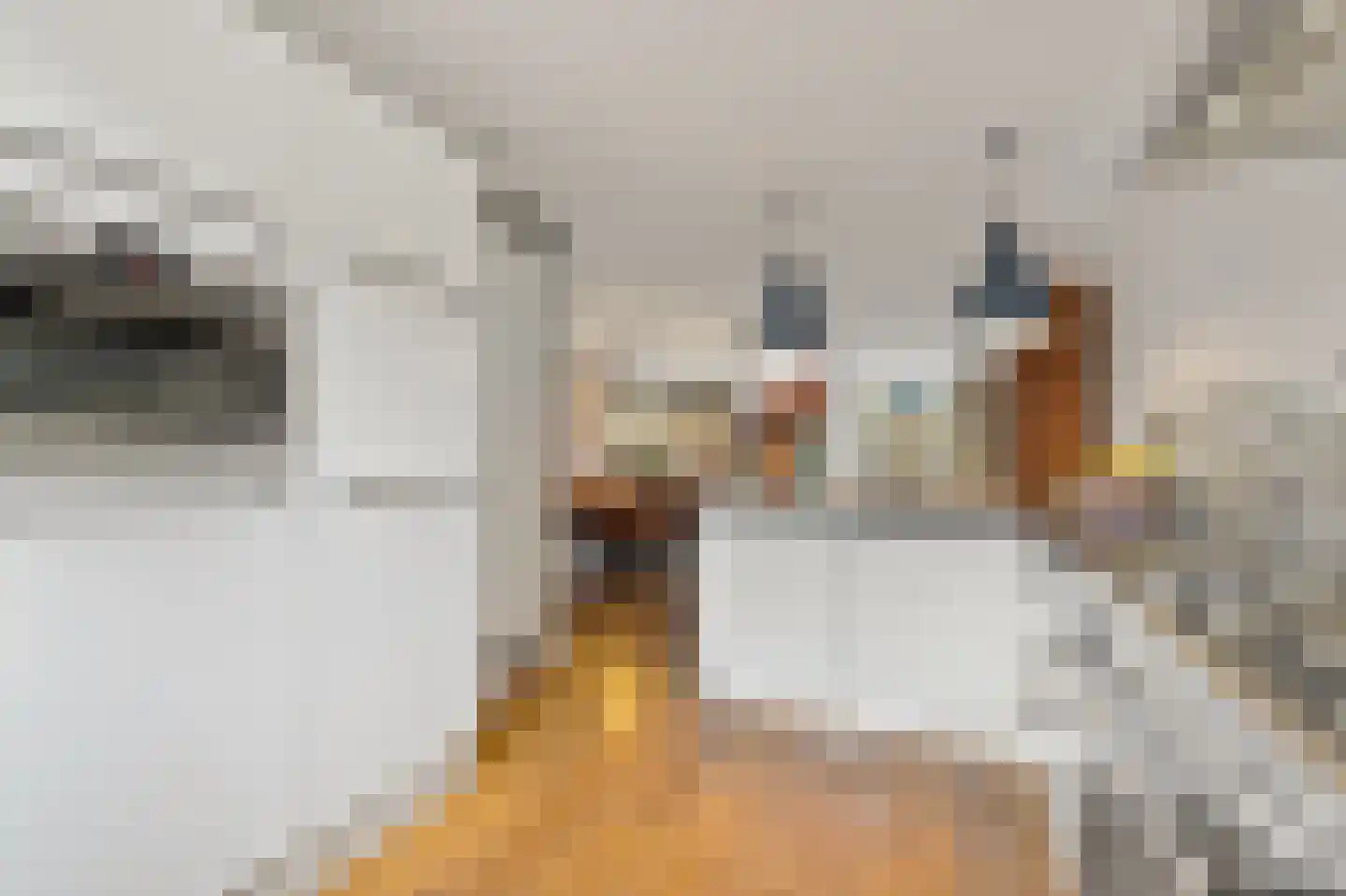 Boterkamp 14 Maasland thumbnail 17
