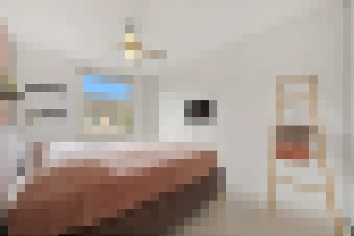 Boterkamp 14 Maasland thumbnail 22