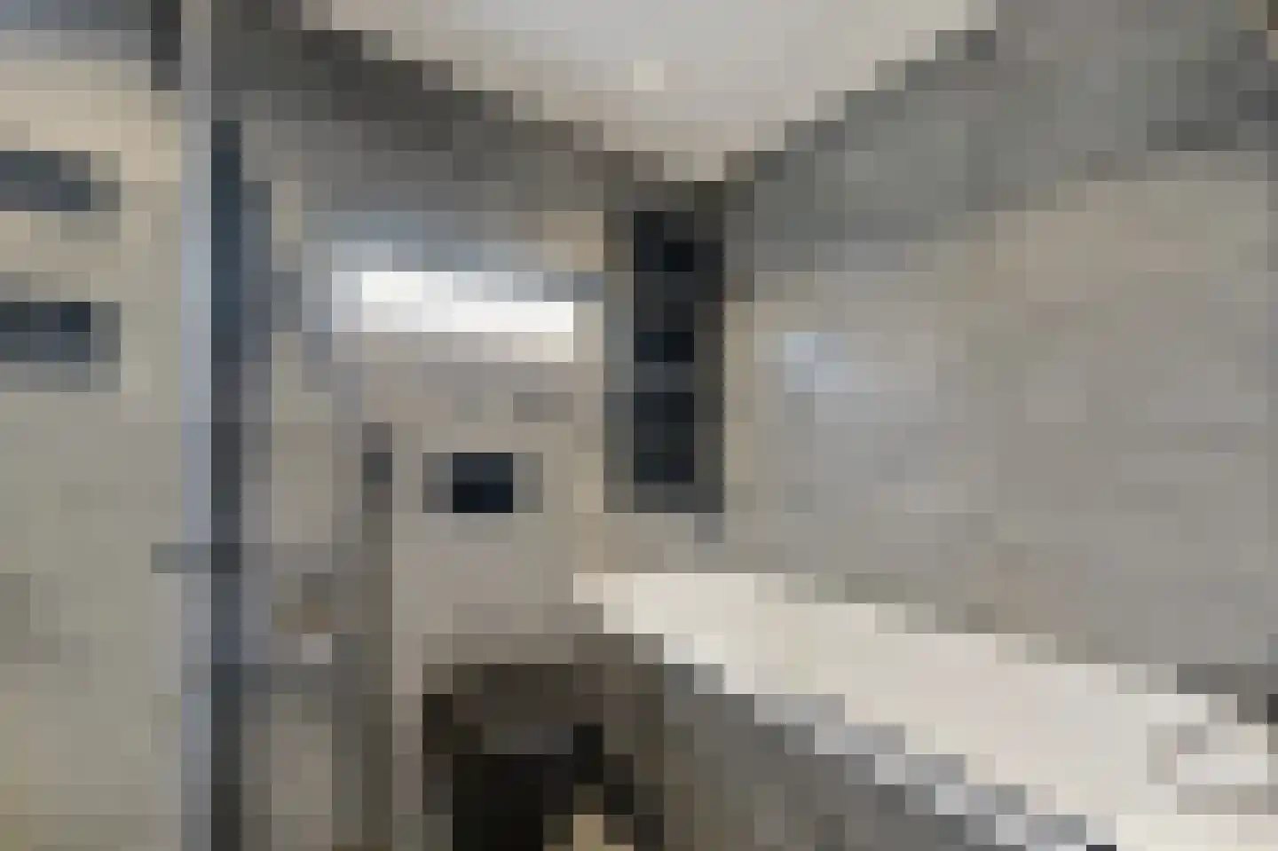 Boterkamp 14 Maasland thumbnail 28