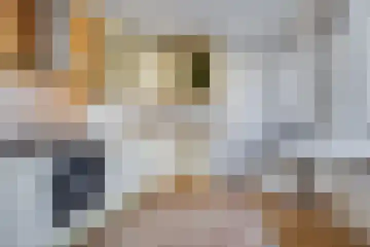 Boterkamp 21 Leusden thumbnail 11