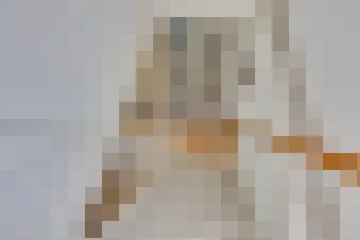 Boterkamp 21 Leusden thumbnail 18
