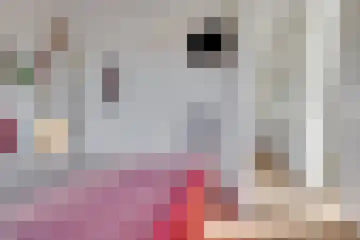 Boterkamp 21 Leusden thumbnail 22