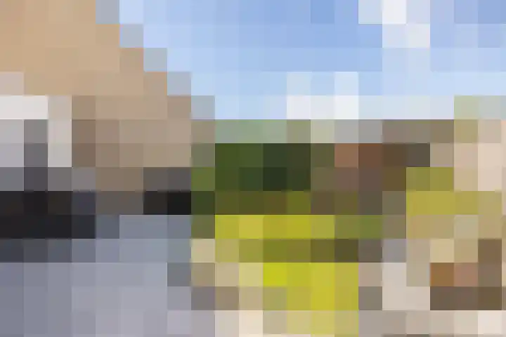 Boterkamp 21 Leusden thumbnail 25