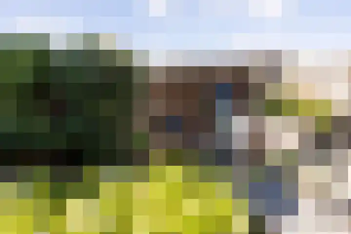 Boterkamp 21 Leusden thumbnail 26