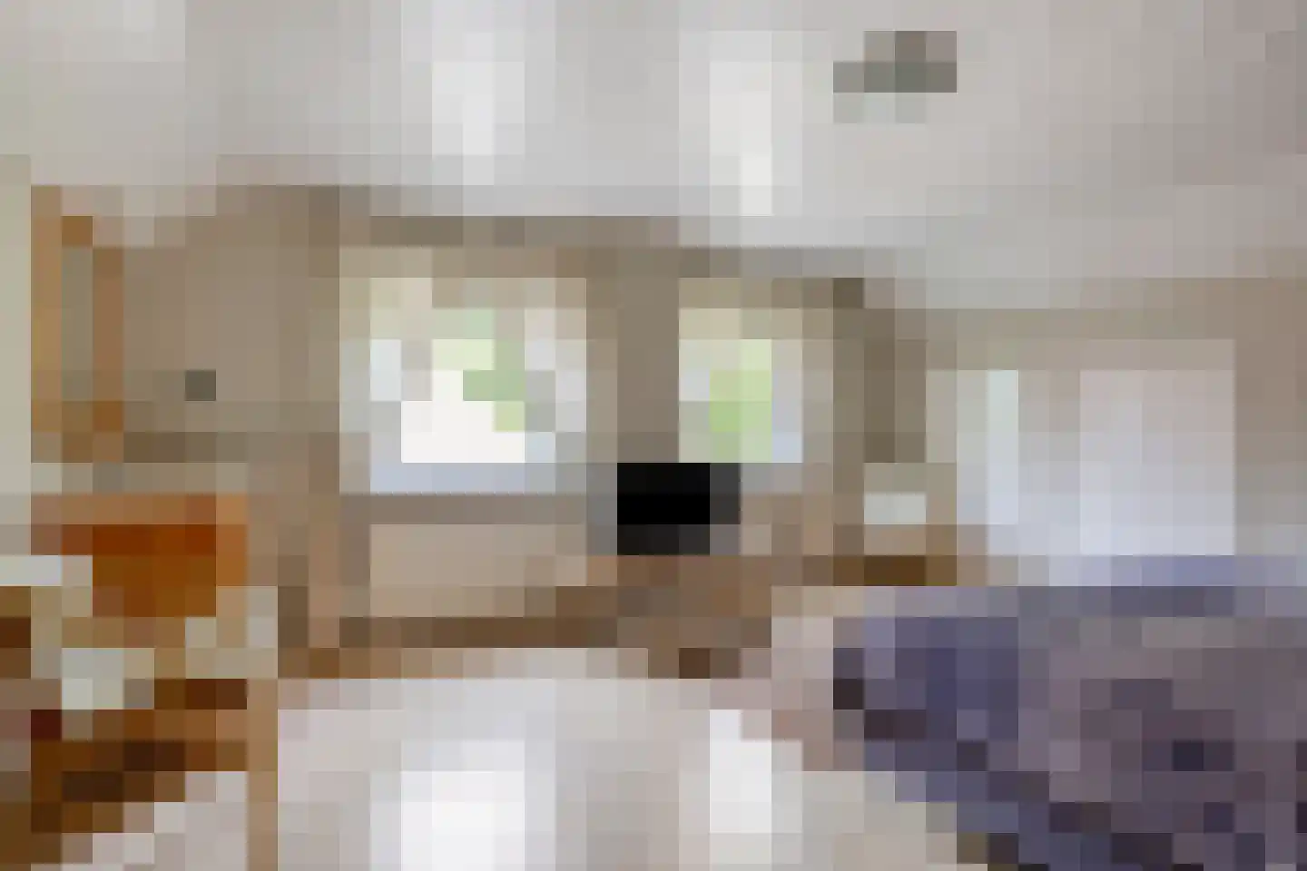 Boterkampweg 3 Uden thumbnail 36