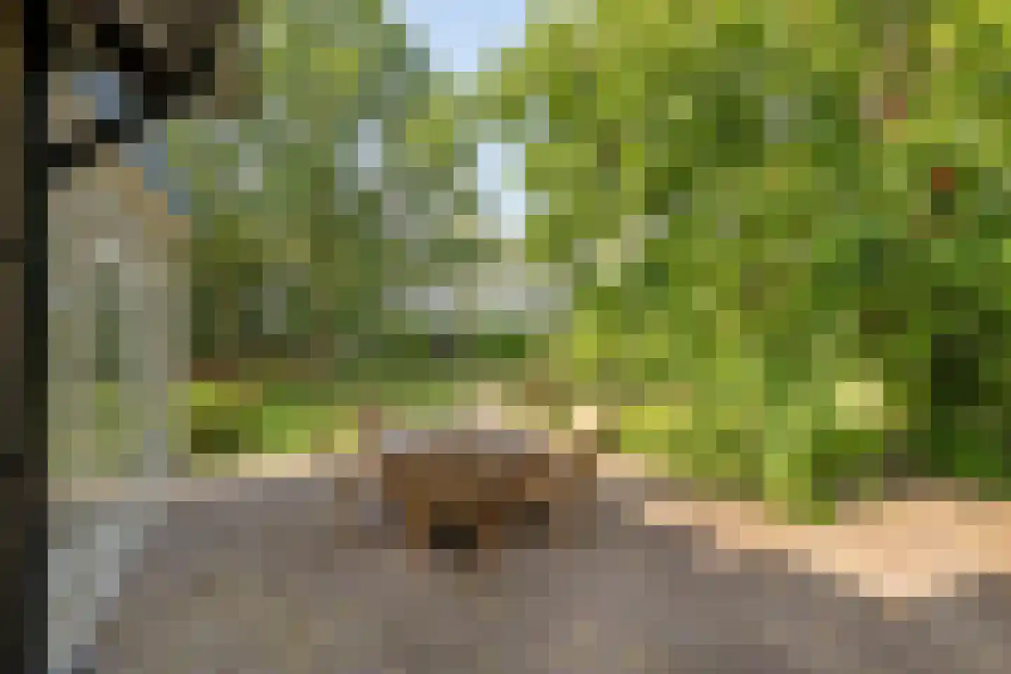 Boterkampweg 3 Uden thumbnail 45