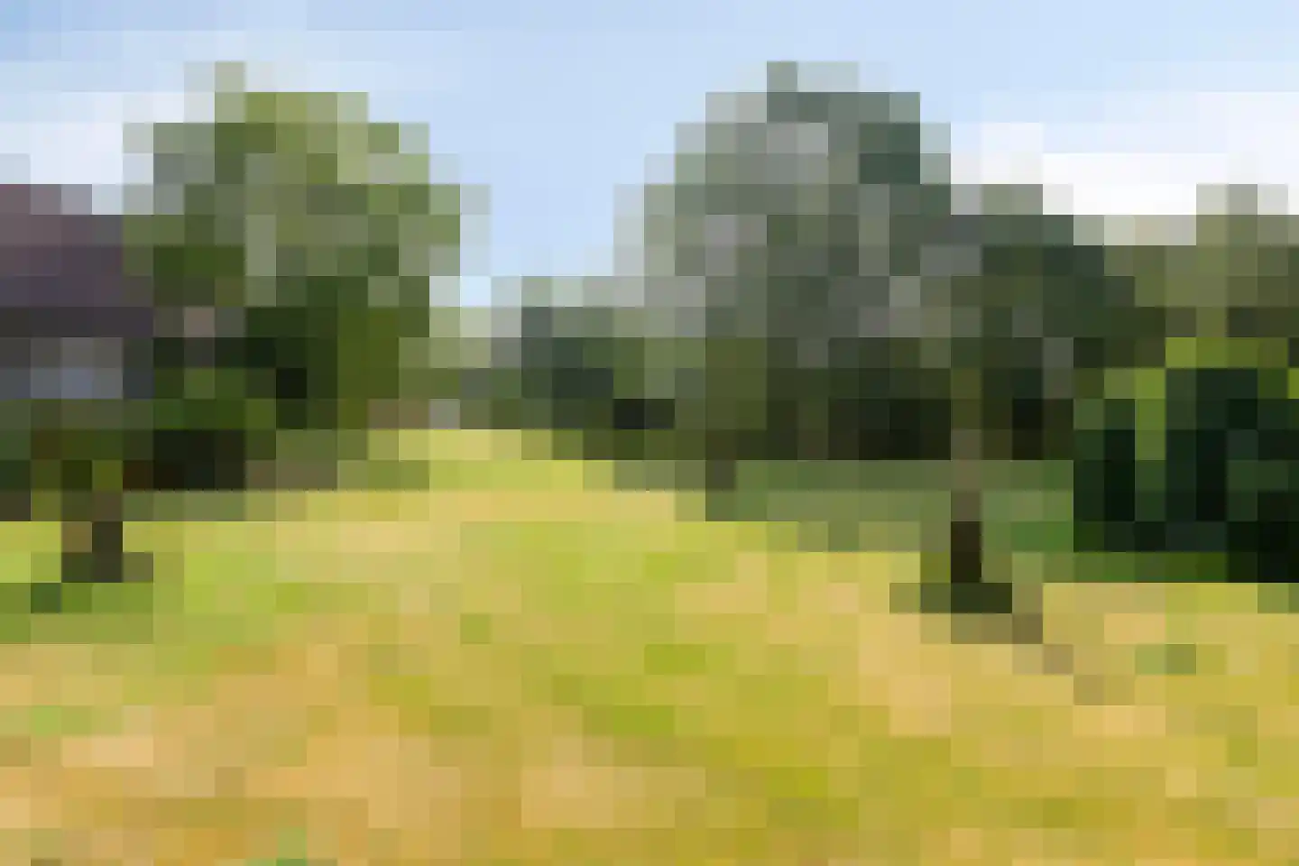 Boterkampweg 3 Uden thumbnail 55