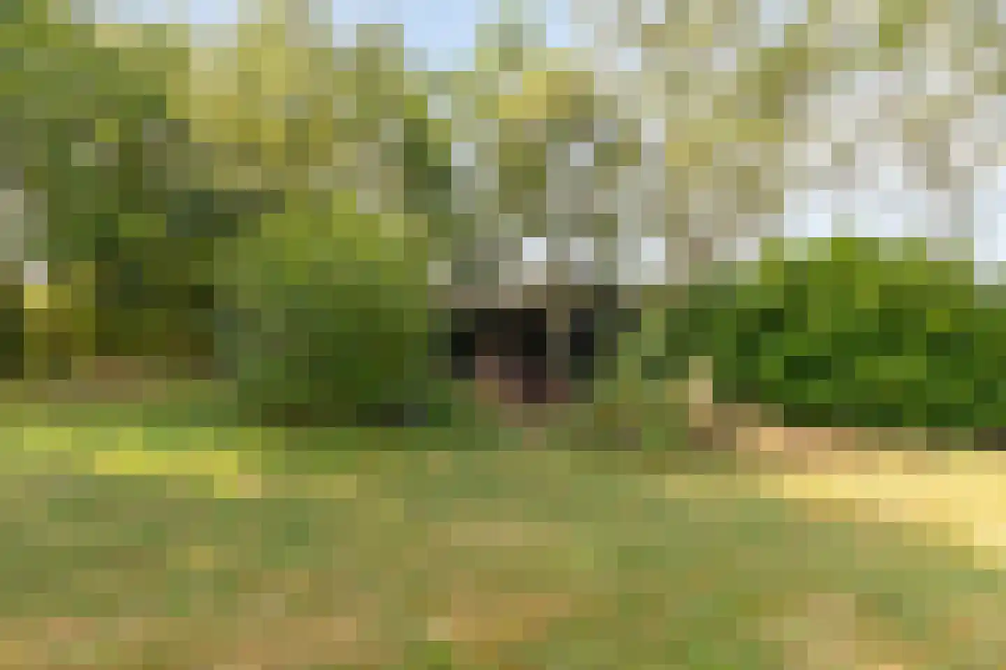 Boterkampweg 3 Uden thumbnail 56