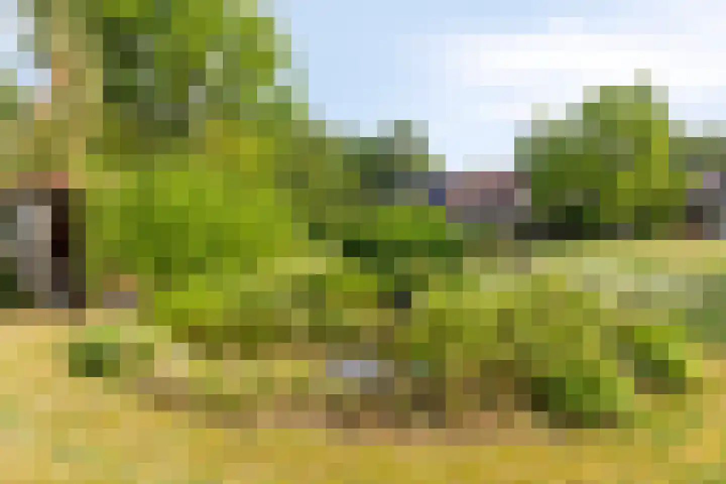 Boterkampweg 3 Uden thumbnail 57