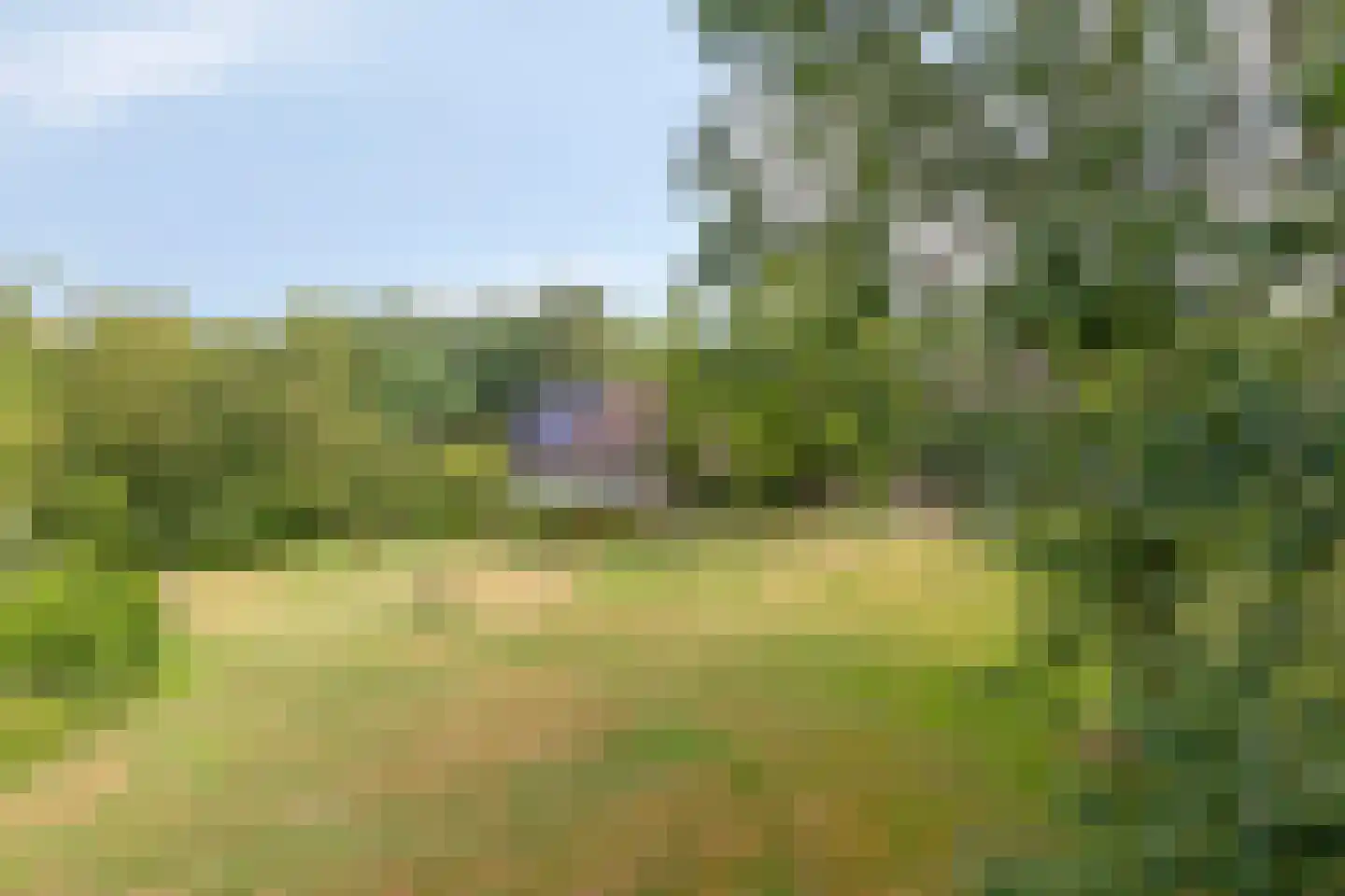Boterkampweg 3 Uden thumbnail 58