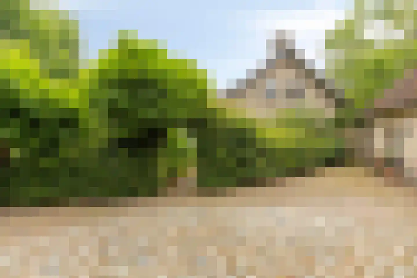 Boterkampweg 3 Uden thumbnail 60