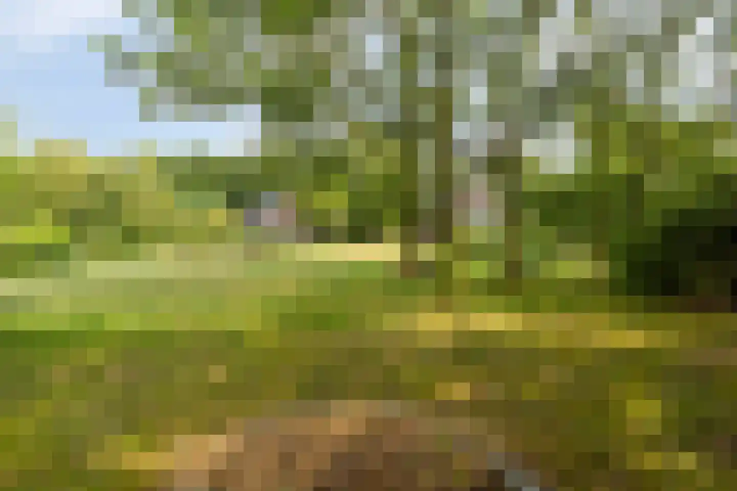 Boterkampweg 3 Uden thumbnail 63